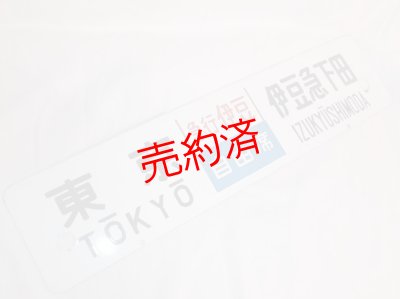 画像1: 行先板「東京（急行伊豆）伊豆急下田/伊豆急下田（急行伊豆）品川」