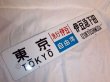 画像1: 行先板「東京（急行伊豆）伊豆急下田/伊豆急下田（急行伊豆）品川」