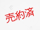 画像: 急行狩勝・まりも　根室線「札幌（石勝線経由）/釧路（富良野経由）」○帯